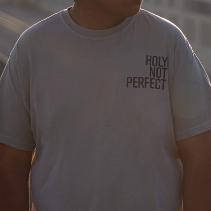 Holy not Perfect