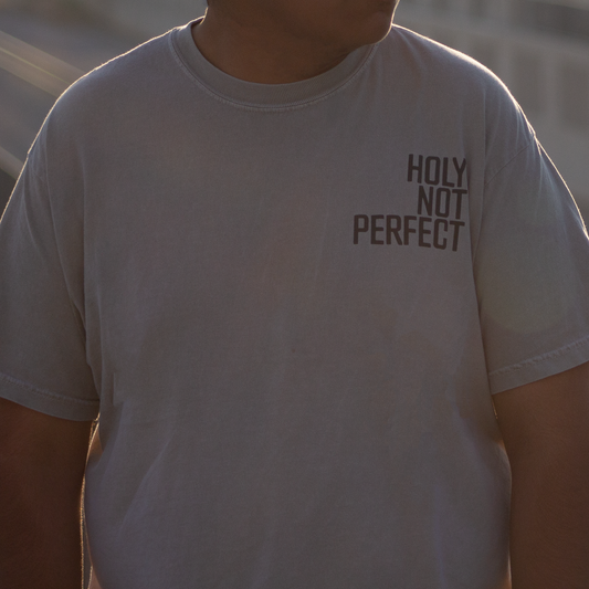 Holy not Perfect